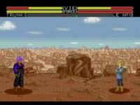 Dragon Ball Z - L appel du destin, capture d'écran